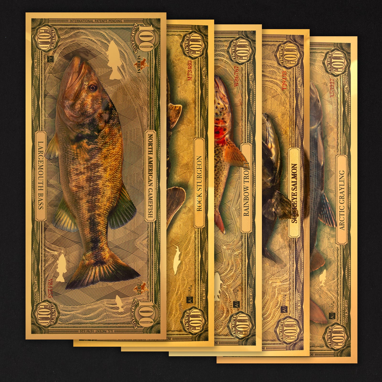 North American Gamefish: 2023 Complete Series