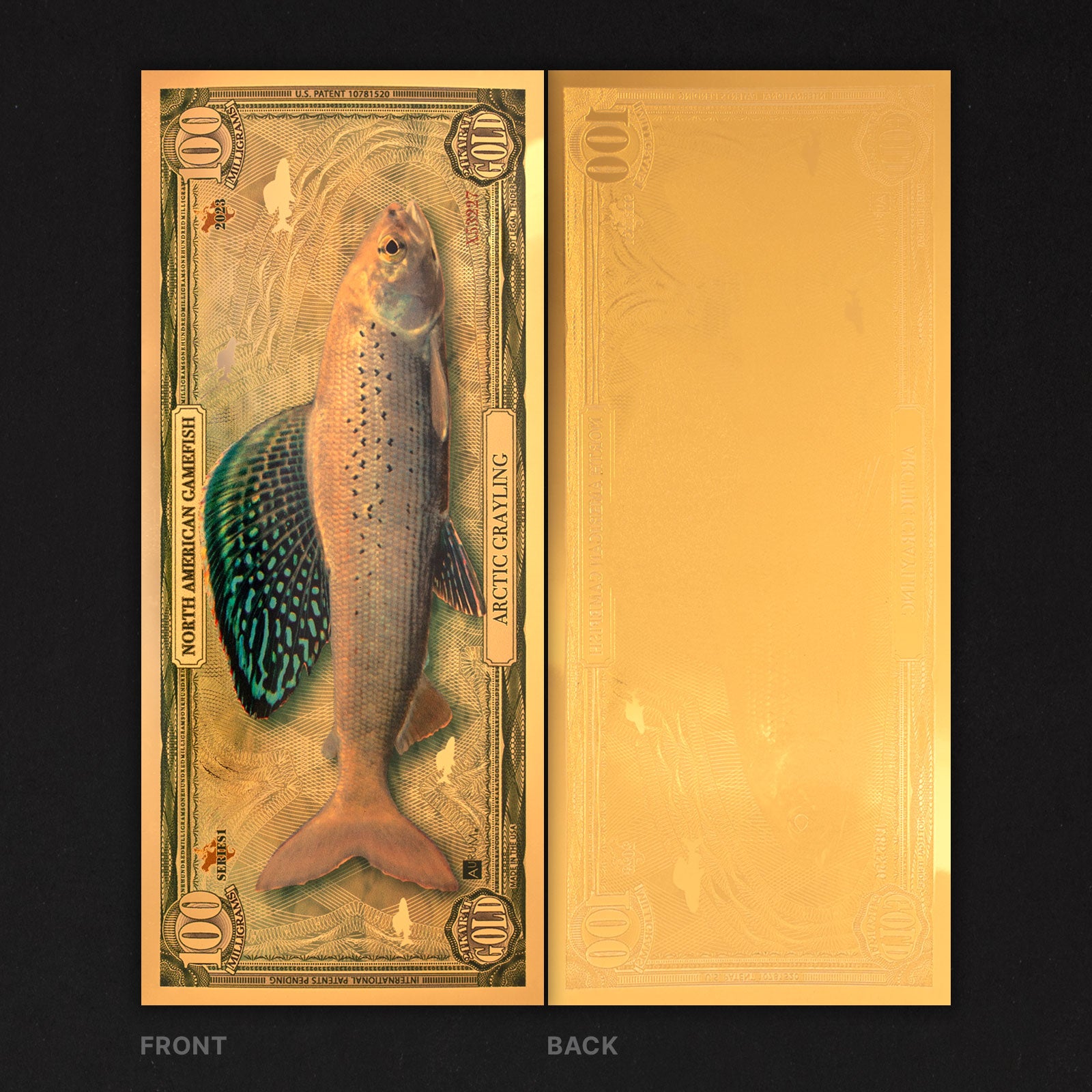 Arctic Grayling Aurum