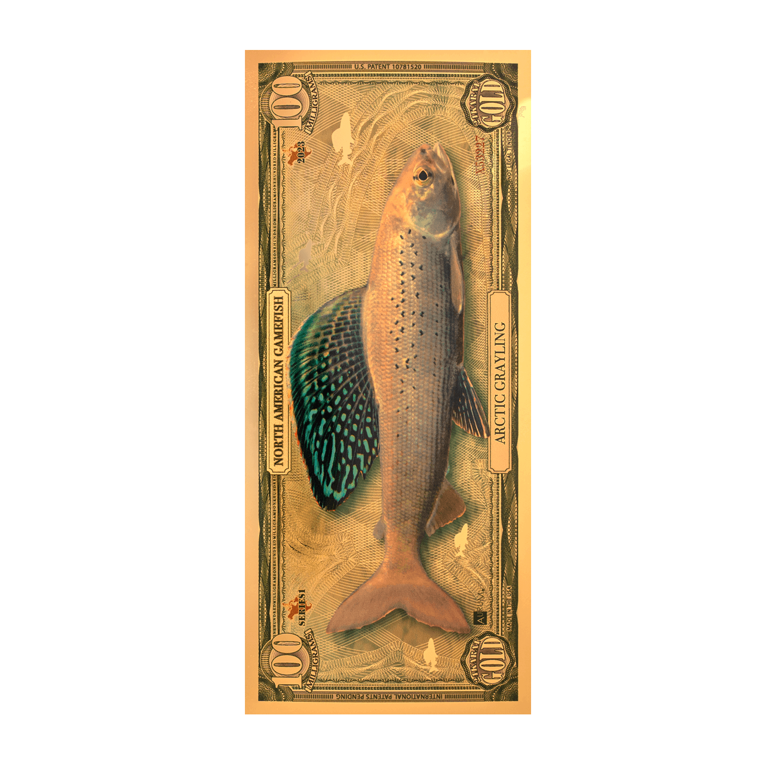 Arctic Grayling Aurum