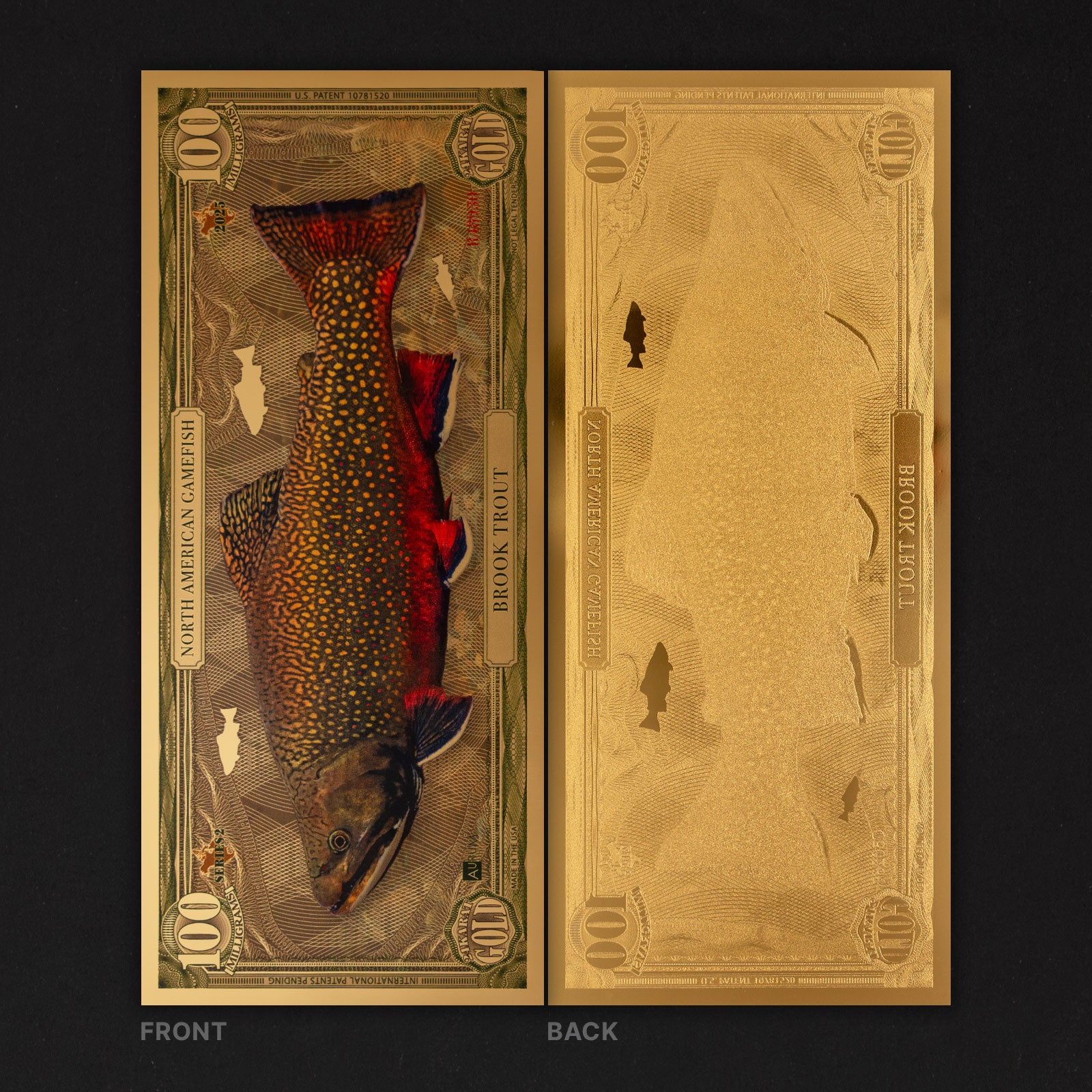 Brook Trout Aurum