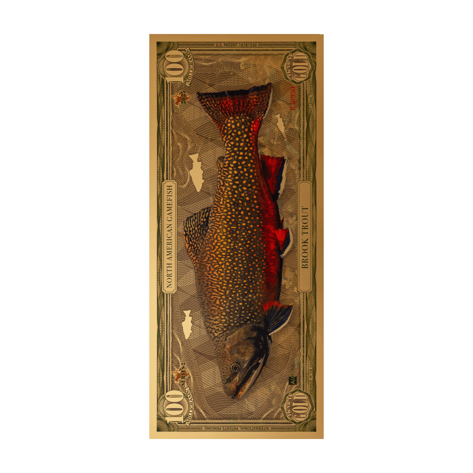 Brook Trout Aurum