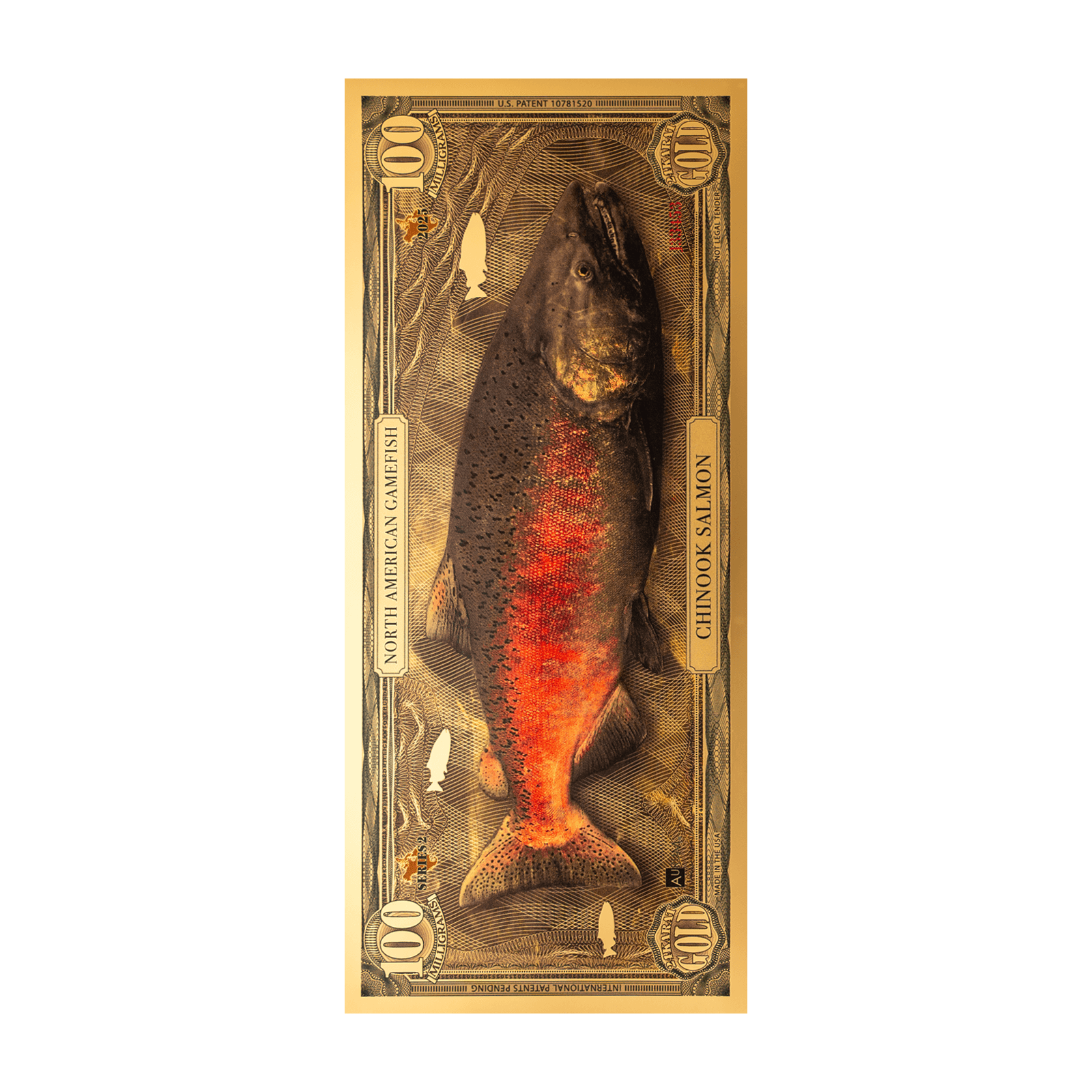 Chinook Salmon Aurum
