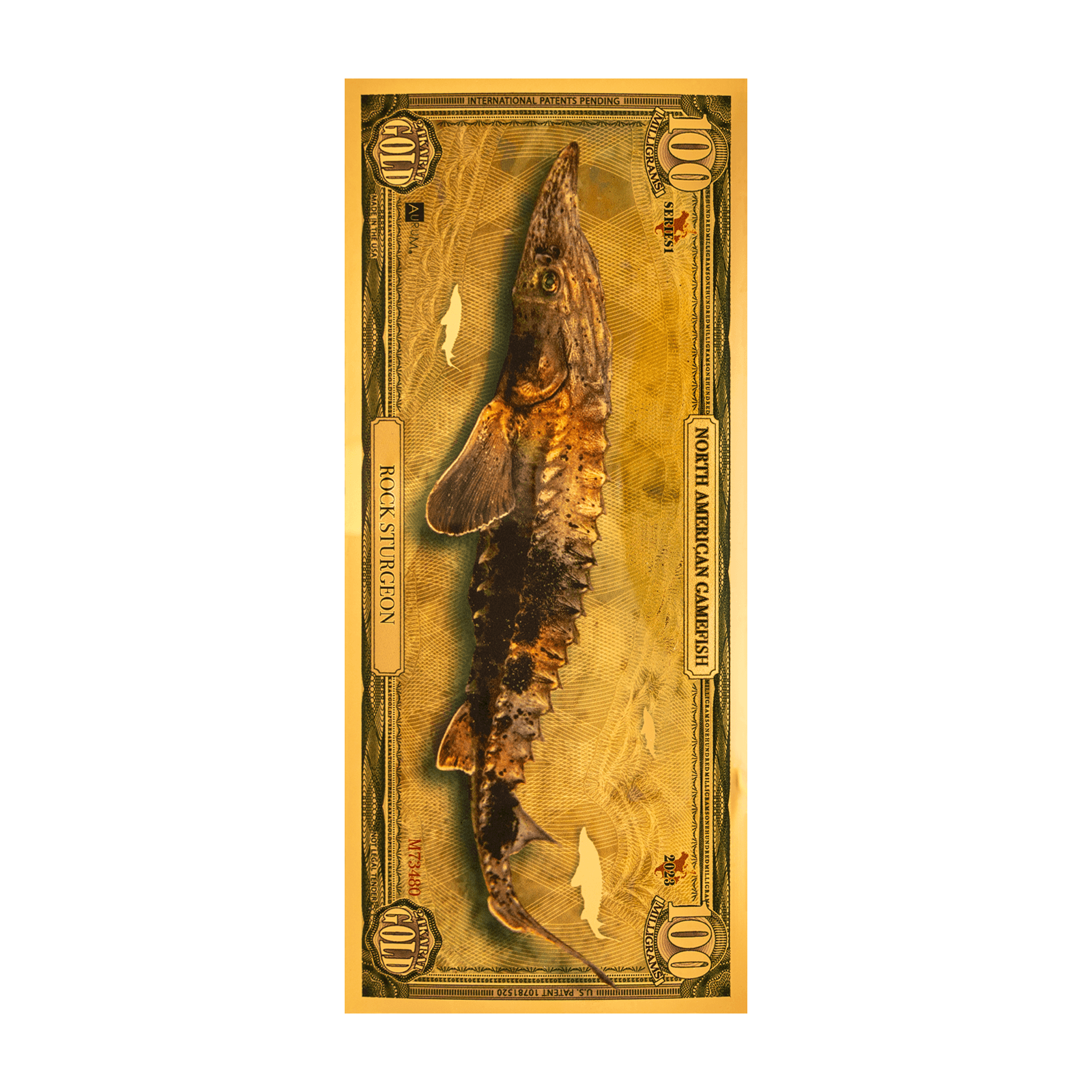 Rock Sturgeon Aurum