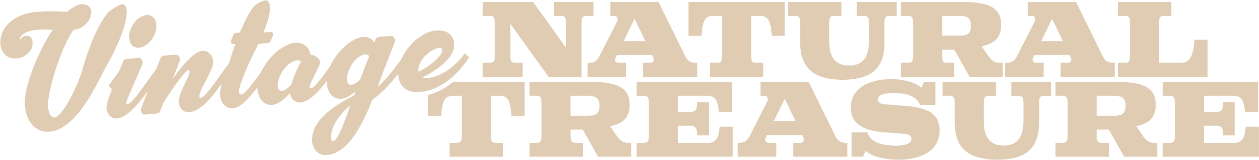 Vintage Natural Treasure